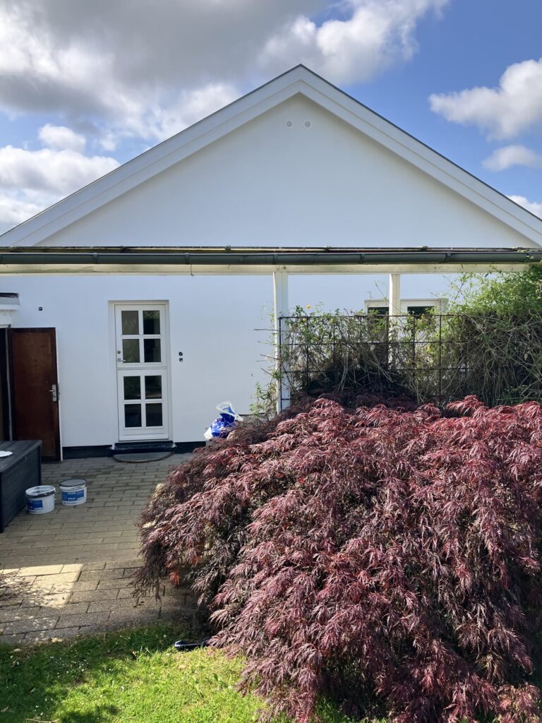Hvid villa med have før glasoverdækningen